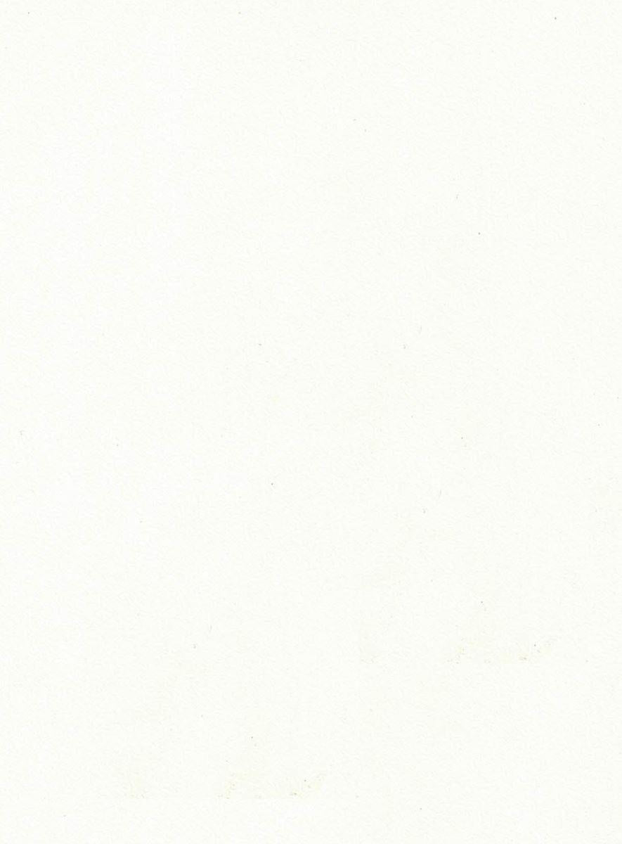 Plus Plain Laminate 8x4 ft Glossy 1 mm - 1002 Amulya