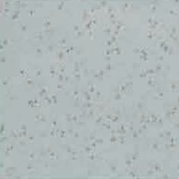 Off White Wood Laminate 8x4 ft Texture 0.8 mm - 1002 GLT