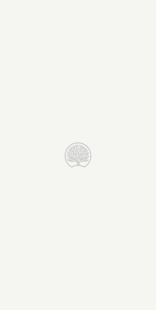 Plain Laminate 8x4 ft Suede 1 mm - 1101 SD