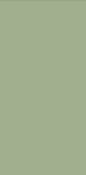 Root Green Plain Laminate 8x4 ft Matte 1 mm - 11061 SAT
