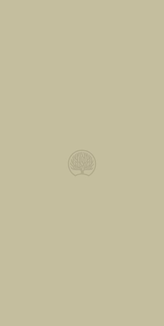 colourful palate Plain Laminate 8x4 ft Suede 1 mm - 1291 SD