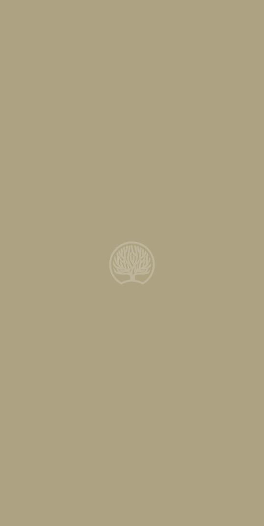 Plain Laminate 8x4 ft Suede 1 mm - 1294 SD