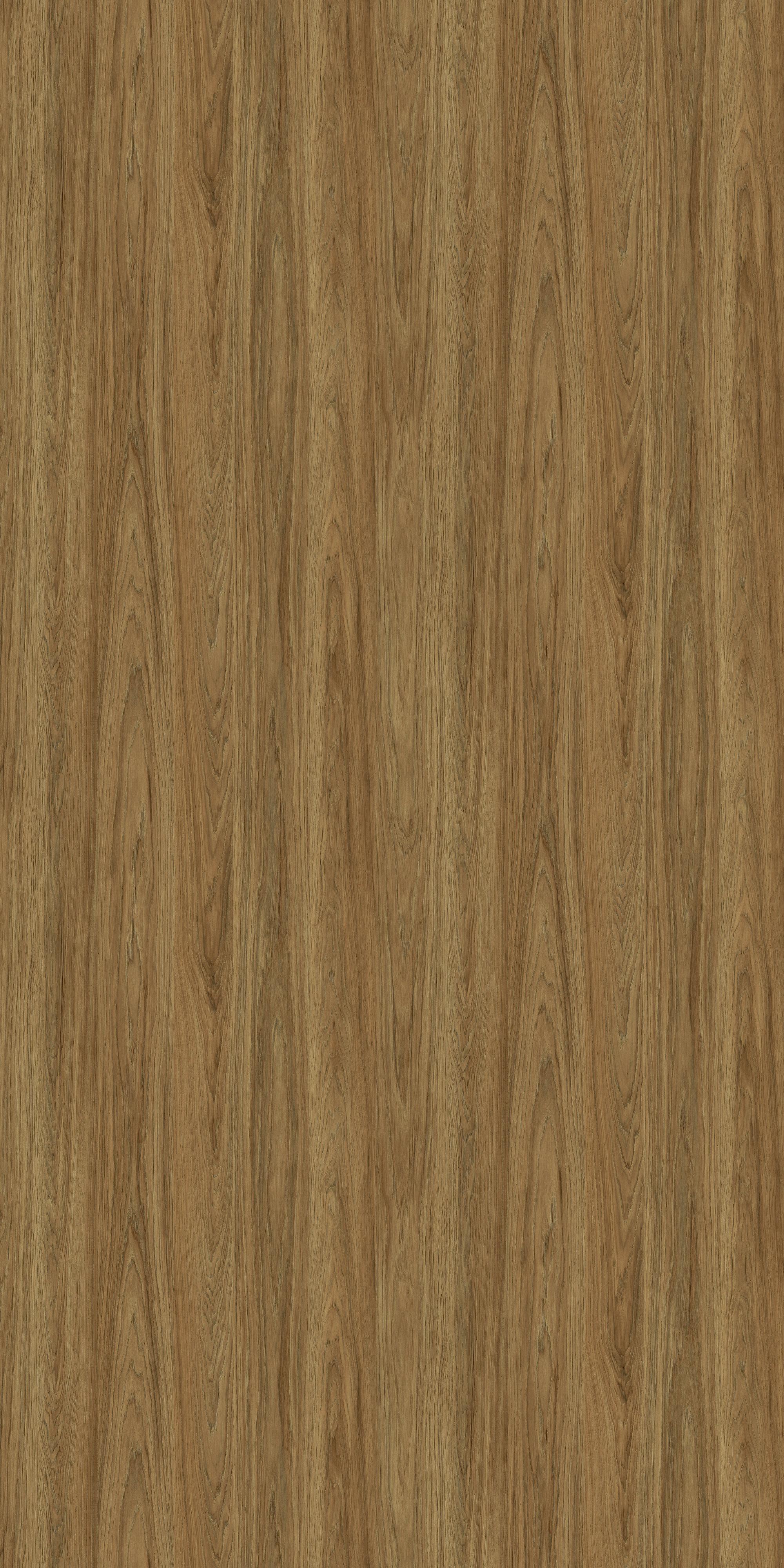 Salween Oak Wood Laminate 8x4 ft Texture 0.8 mm - 13007 RND