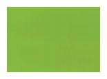 3 Mica Hanger Super Green Plain Laminate 8x4 ft High Gloss 1 mm - 1507 SHG