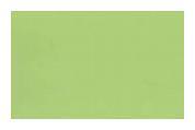 3 Mica Hanger Para Green Plain Laminate 8x4 ft High Gloss 1 mm - 1517 SHG