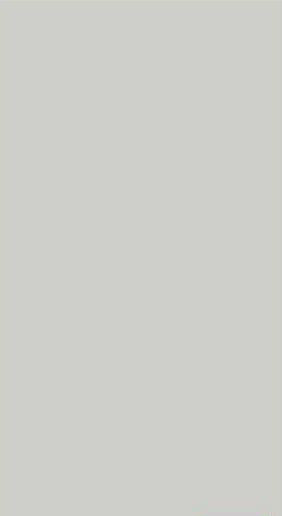 Plain Laminate 8x4 ft High Gloss 0.8 mm - 166 MG