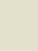 Mysore Ivory Plain Laminate 8x4 ft Suede 1 mm - 17 SF