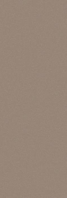 Coffee Brown Plain Laminate 8x4 ft High Gloss 1.3 mm - 2081 TM