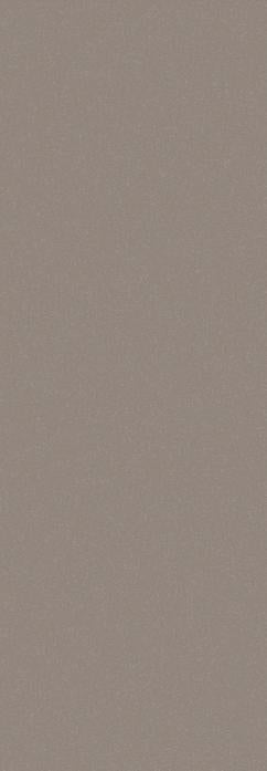 Pastel Brown Plain Laminate 8x4 ft High Gloss 1.3 mm - 2082 TM