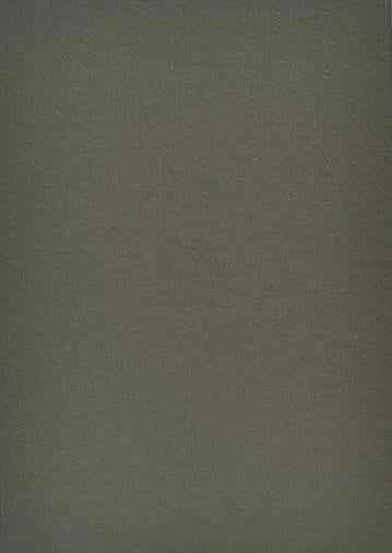 Marble & Stone Laminate 8x4 ft Suede 0.7 mm - 21449 8