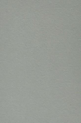 Marble & Stone Laminate 8x4 ft Suede 0.7 mm - 21459 8