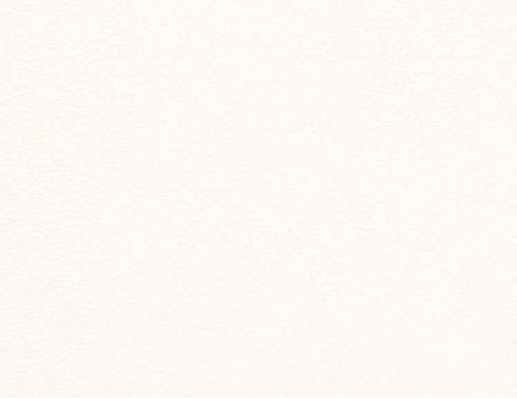 _ Plain Laminate 8x4 ft 1 mm - 2261 P