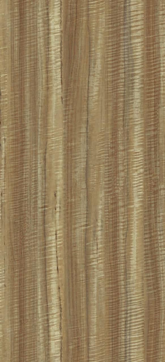 Gold Urban Tree Designer Laminate 8x4 ft Texture 0.8 mm - 2415 CS