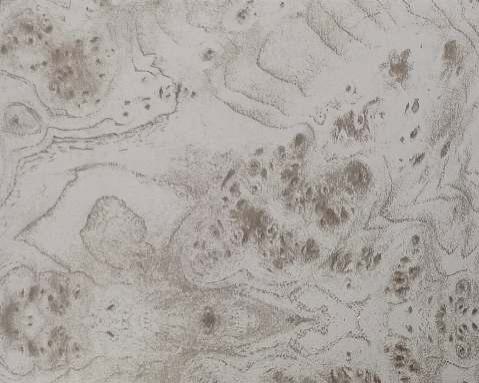 Designer Laminate 8x4 ft Texture 1 mm - 260 8