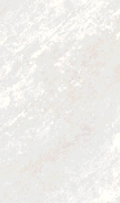 Cantona Fir Marble & Stone Laminate 8x4 ft Texture 1 mm - 413 S2