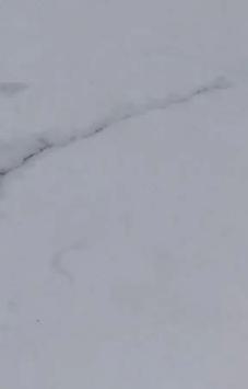 White Marblelous Marble & Stone Laminate 8x4 ft Matte 0.9 mm - 4157 EM