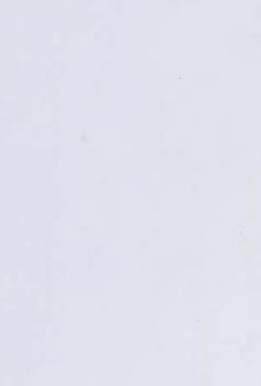 White Alberica Stone Plain Laminate 8x4 ft Matte 0.9 mm - 4164 EM