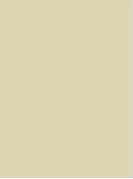 Ivory Plain Laminate 8x4 ft Suede 1 mm - 508 SF