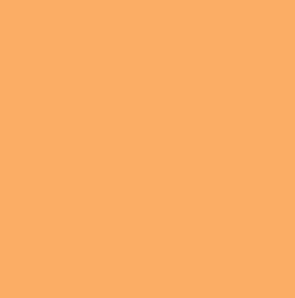155 Tangerine Plain Laminate 8x4 ft Matte 0.8 mm - 54725 A