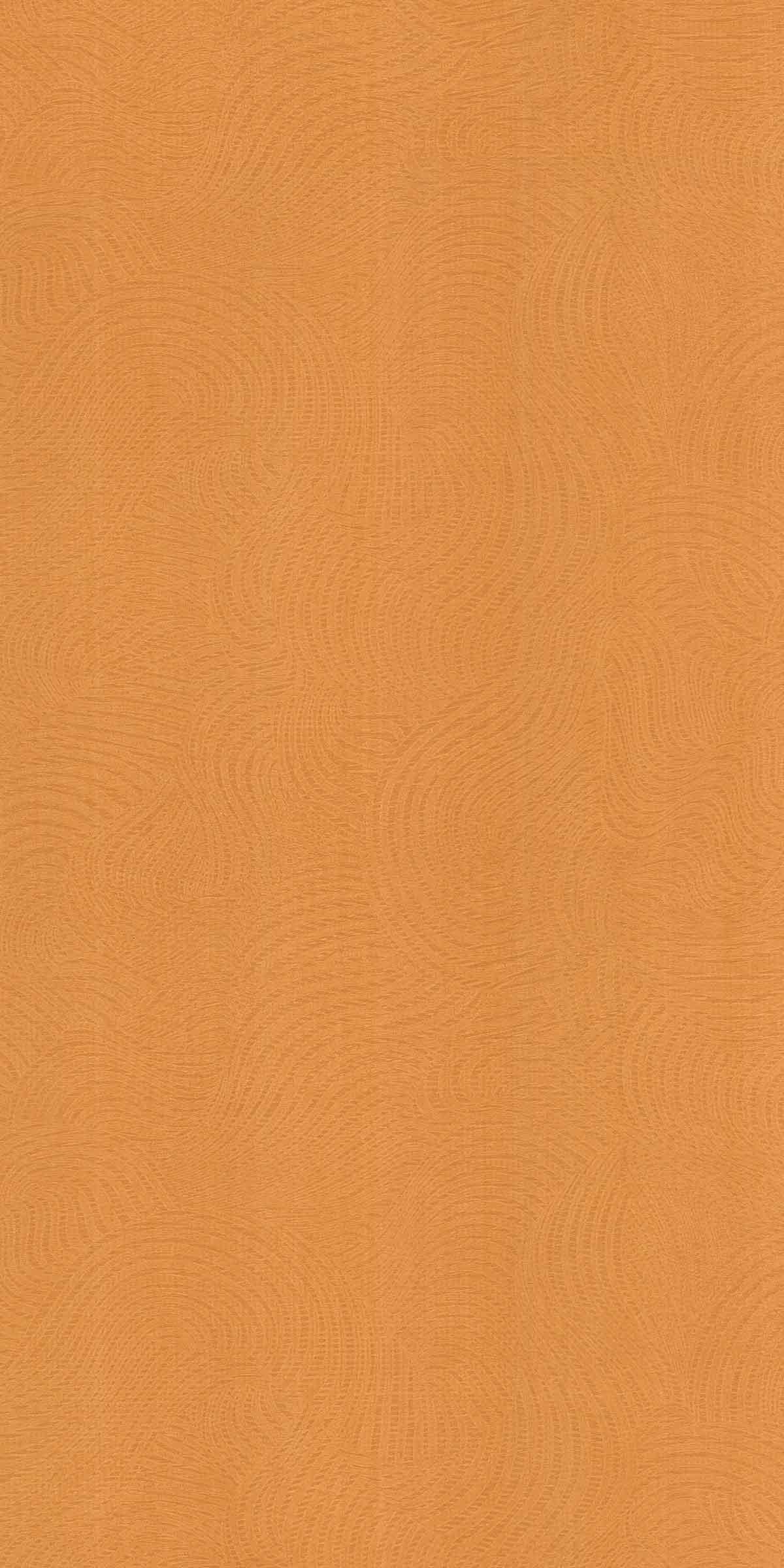 Yellow Birch Wood Designer Laminate 8x4 ft Texture 1 mm - 5592 MR