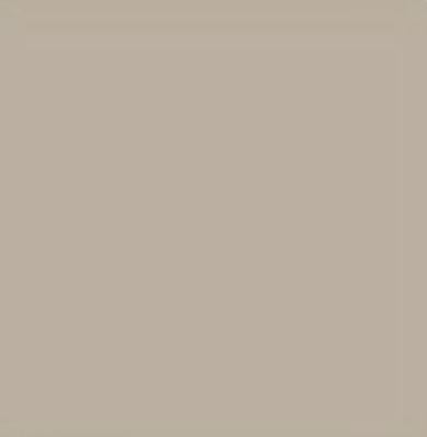 Finish Brown Plain Laminate 8x4 ft Texture 0.8 mm - 5741 TLF