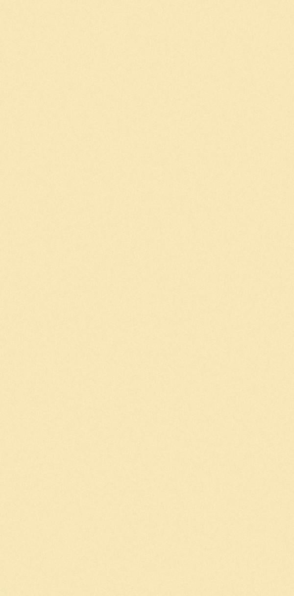 Ivory Plain Laminate 8x4 ft Matte 0.8 mm - 8002 MT