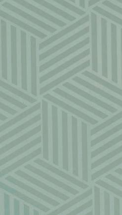 Laminates - liner laminate
