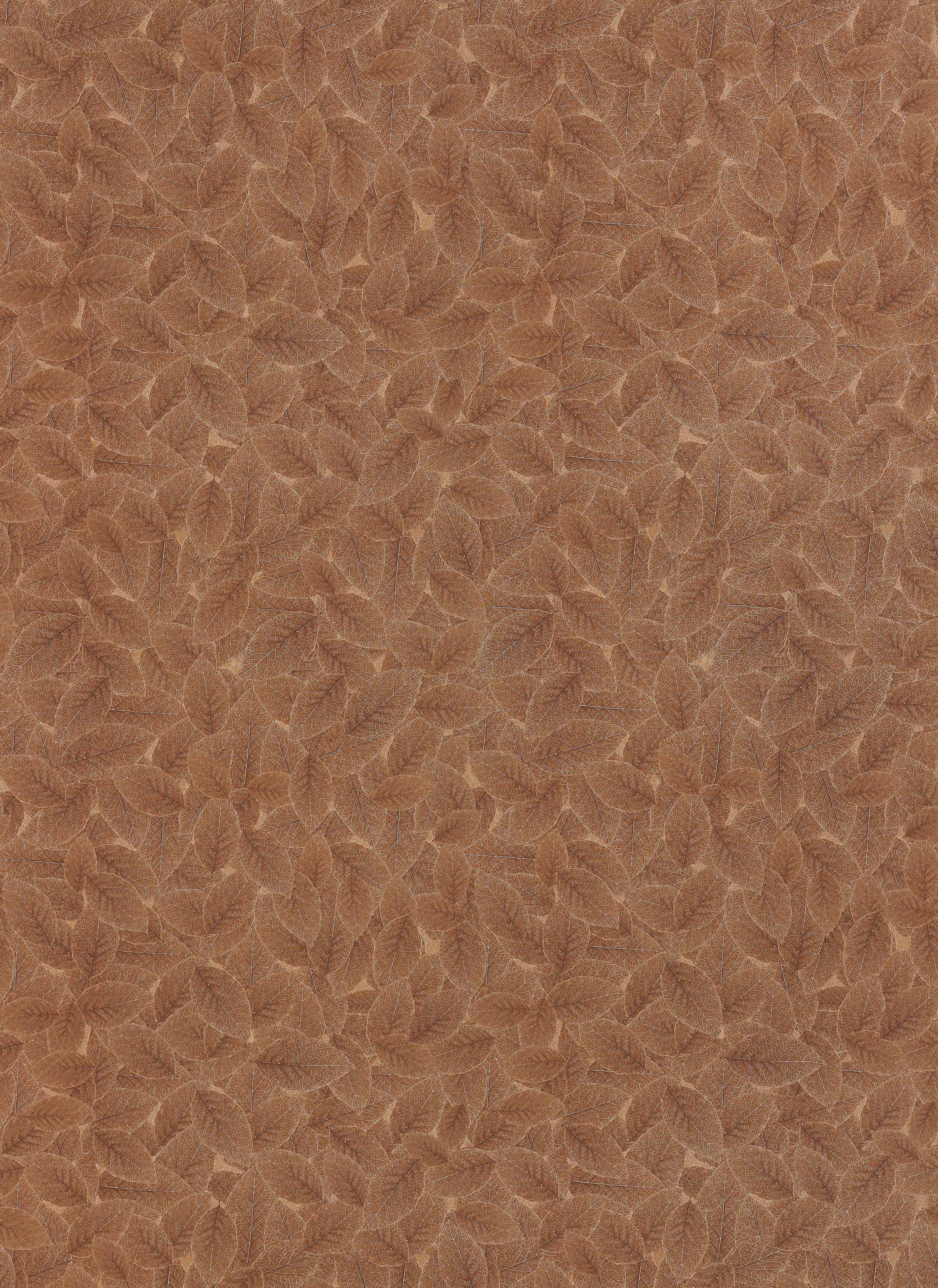 Century Starline Chestnut Brown Designer Laminate 8x4 ft Glossy 0.8 mm - 84874 GL