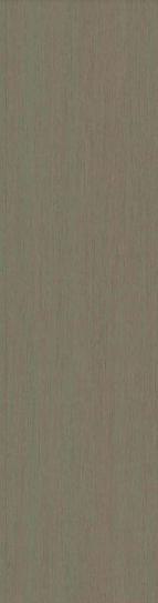 Creamy Oak Plain Laminate 8x4 ft Matte 1 mm - 9556 SMT
