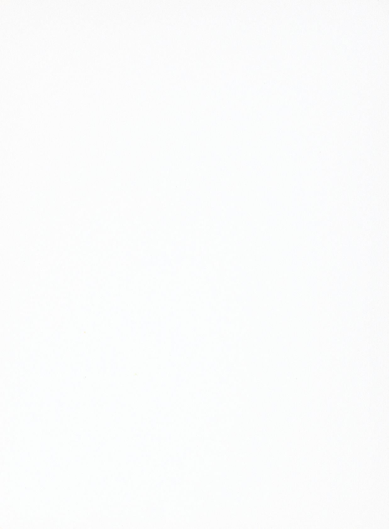 Country Matt Plain Laminate 8x4 ft Matte 1 mm - CM 250