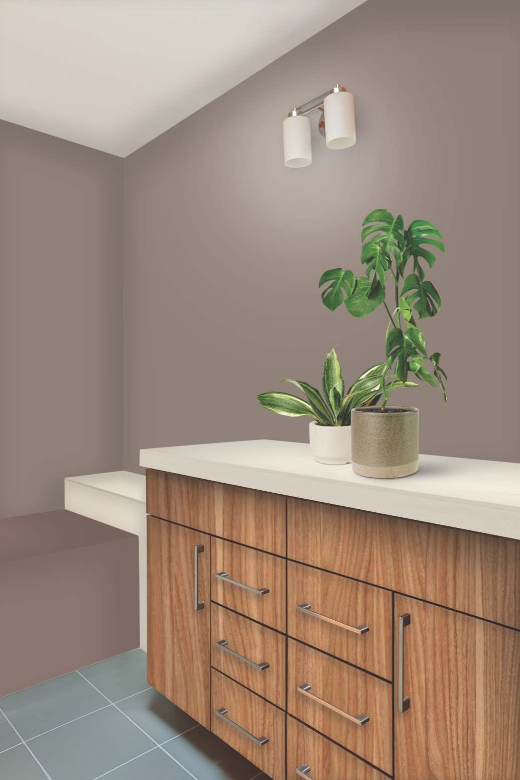 Biscuit Metallic Plain Laminate 8x4 ft Glossy 1 mm - DG 5063