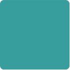 Dream Green The One Plain Laminate 8x4 ft Glossy 1 mm - DG 626