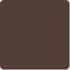 Chocolate The One Plain Laminate 8x4 ft Glossy 1 mm - DG 629