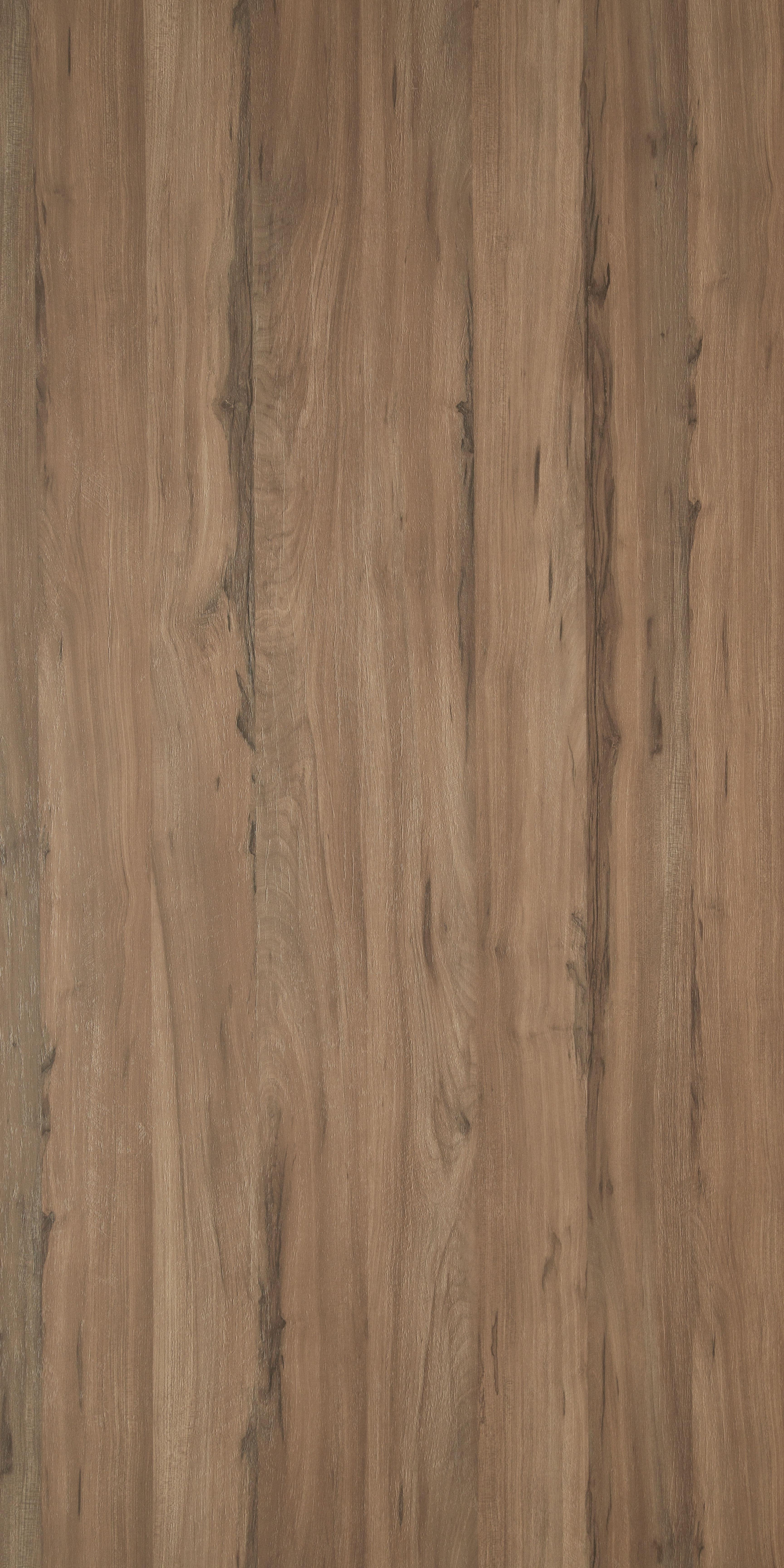 Earth Song Wood Laminate 8x4 ft Texture 1.25 mm - ES 1681