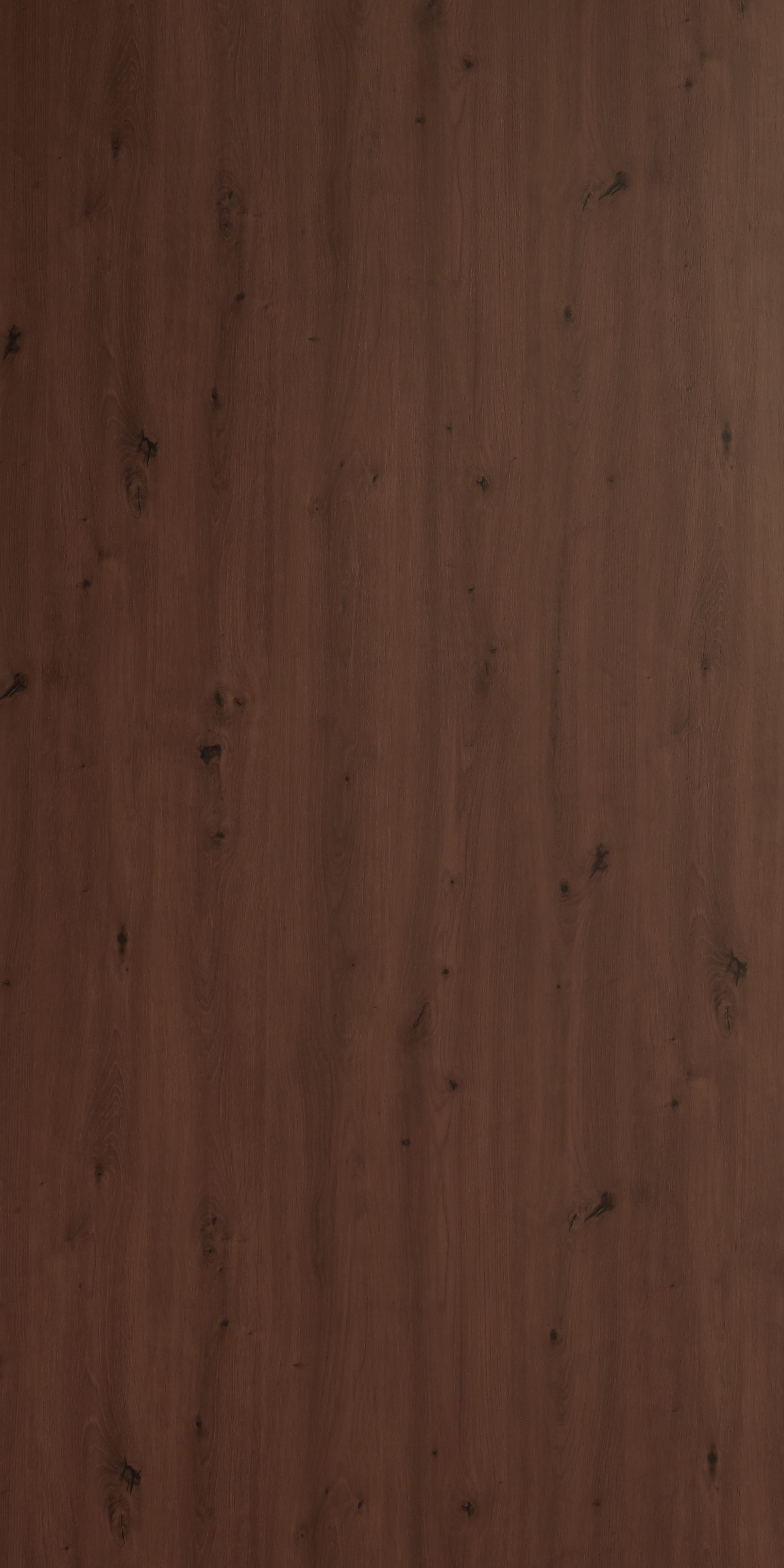 Earth Song Wood Laminate 8x4 ft Texture 1.25 mm - ES 1698