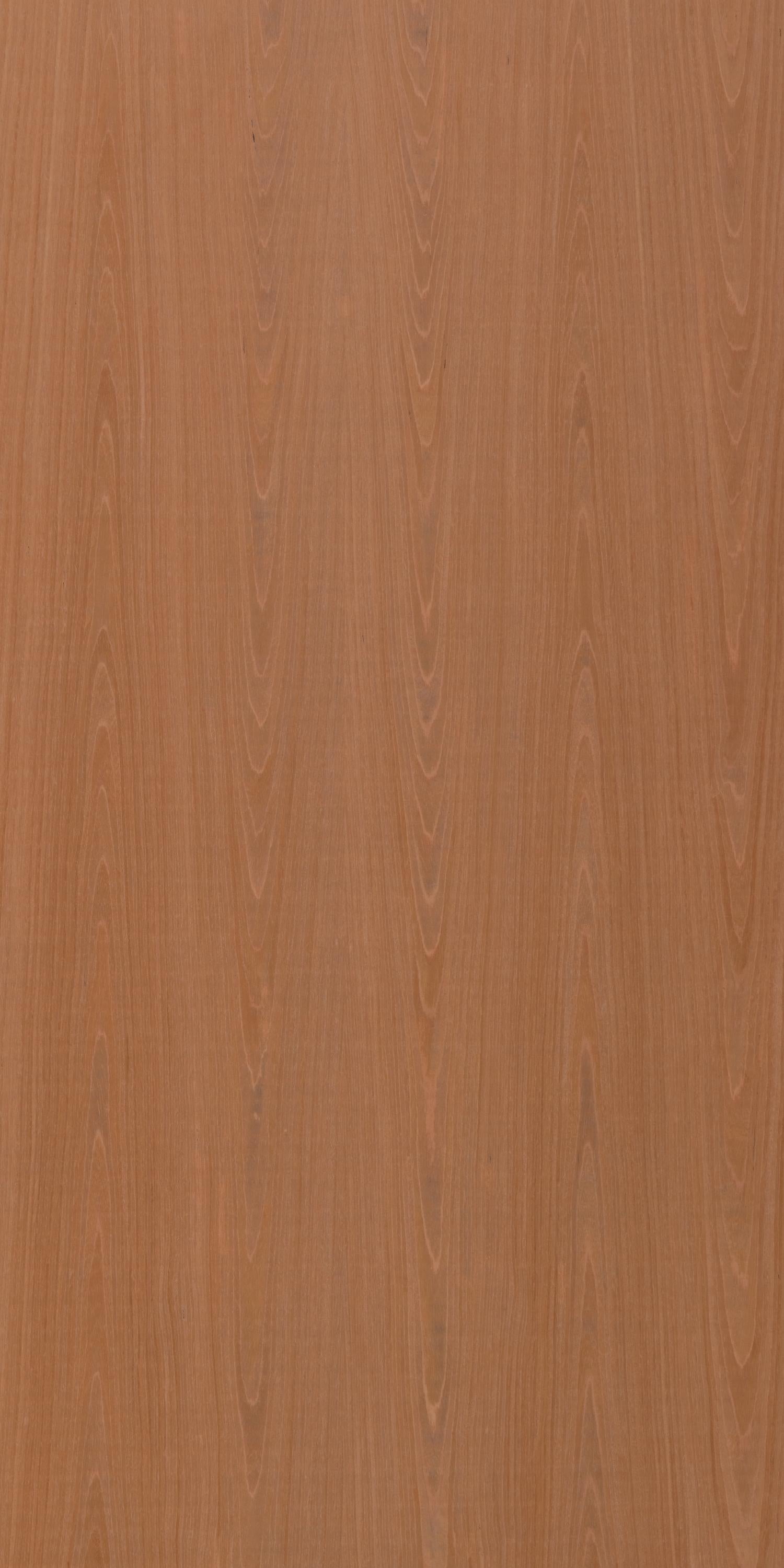 F695 Mahogany Crown 2440x1220 Veneer - 3.5 mm