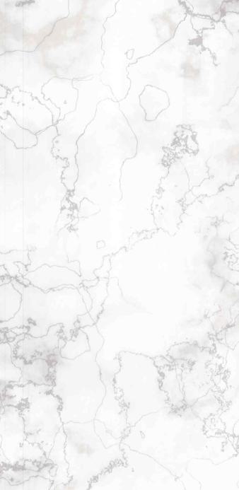 Expression Marble & Stone Laminate 8x4 ft Matte 1 mm - LM 01237