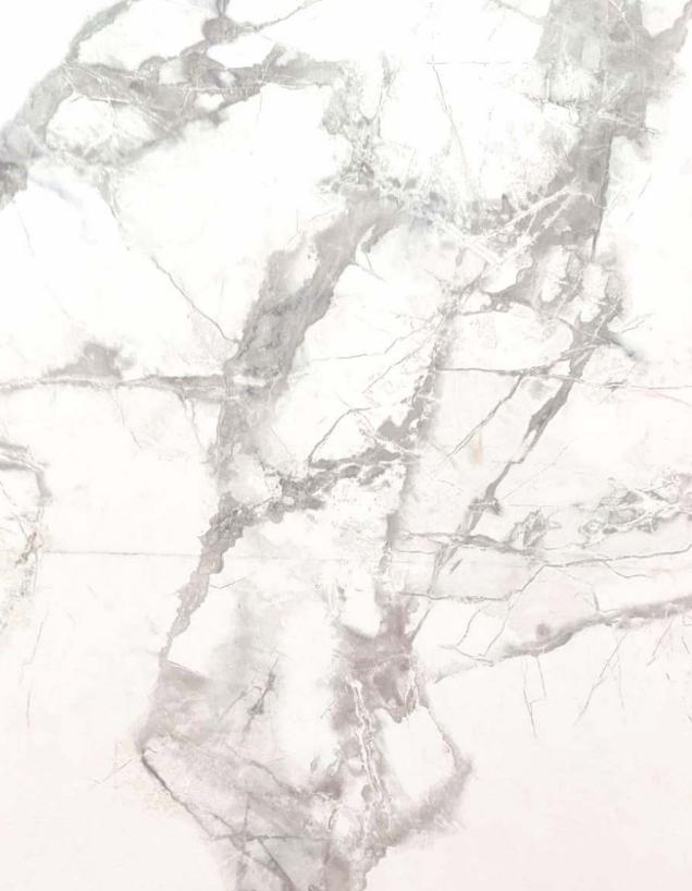 Marble & Stone Laminate 8x4 ft High Gloss 1 mm - LM 15569
