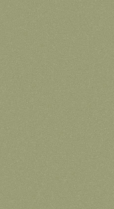 Mud Brown Plain Laminate 8x4 ft High Gloss 1 mm - N 0012