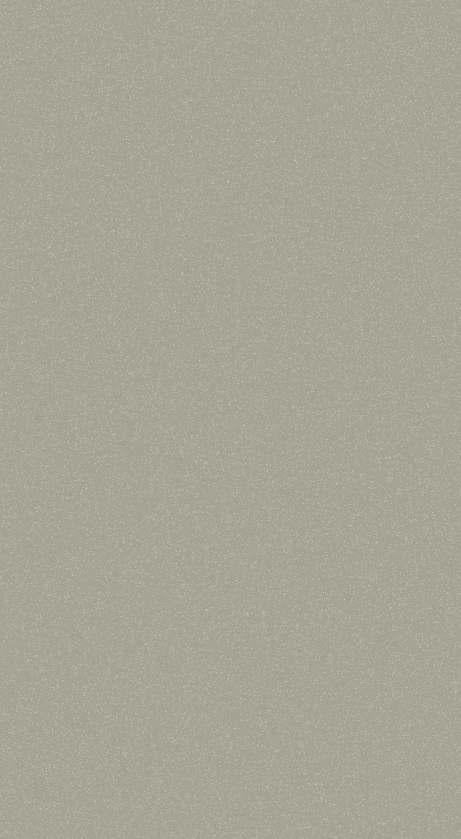 Coffee Grey Plain Laminate 8x4 ft High Gloss 1 mm - N 0028