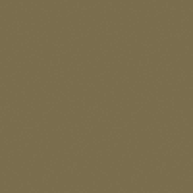 Exotic Panels Plain Laminate 8x4 ft 1.5 mm - PU 5673