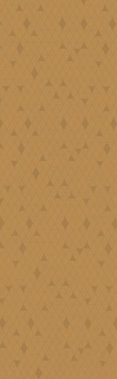 Patterned Designer Laminate 8x4 ft Texture 1 mm - PZ 1026