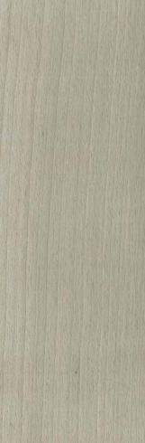 S417 Silverwood Silver Hornbeam 2440X1220 mm Veneer - 4 mm