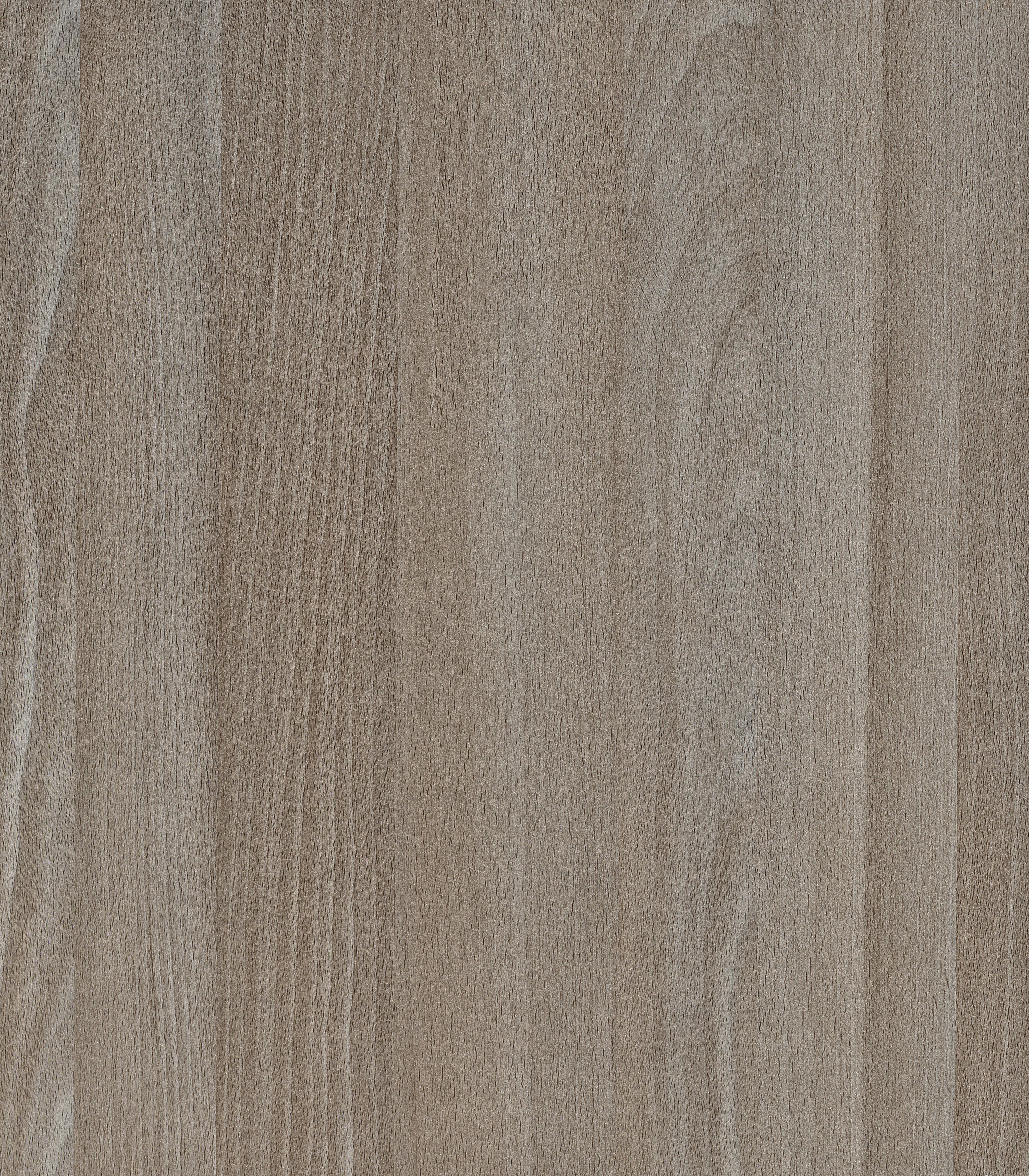 Spring Blossom Wood Laminate 8x4 ft Texture 1.25 mm - SB 1549