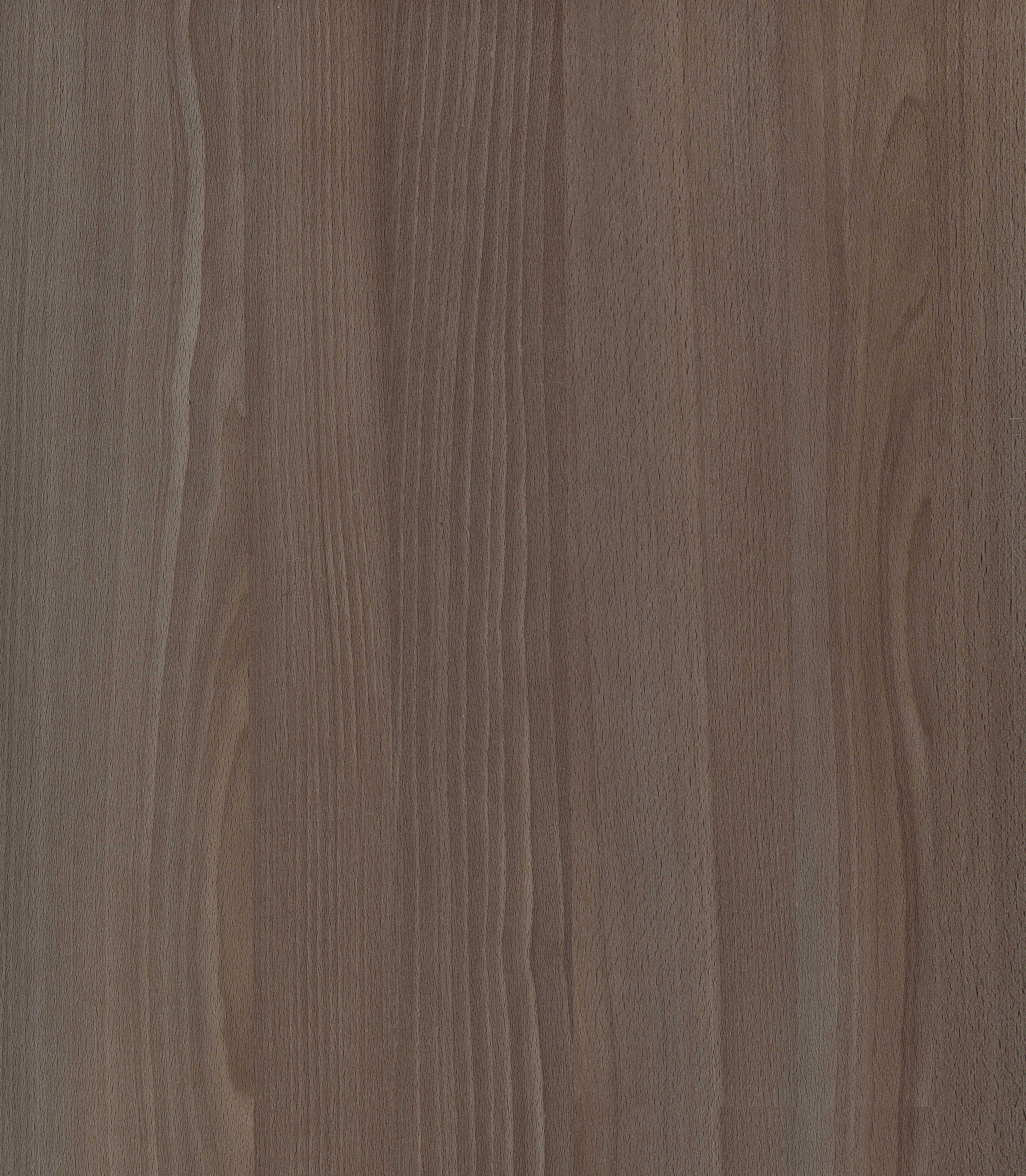 Spring Blossom Wood Laminate 8x4 ft Texture 1.25 mm - SB 1550