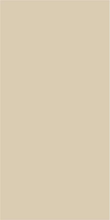 Oyster Plain Laminate 8x4 ft Suede 1 mm - SF 224
