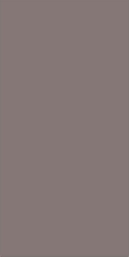 Dull Birch Plain Laminate 8x4 ft Super Matte 1 mm - SMT 233