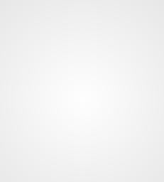 Wood Laminate 8x4 ft High Gloss 1.5 mm - Silver 8