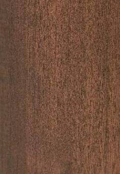 Wood Laminate 8x4 ft Super Matte 1 mm - VO 598