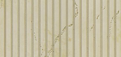 Beige Metallic Charcoal Louver 9.5x0.5 Ft - Fl 6116